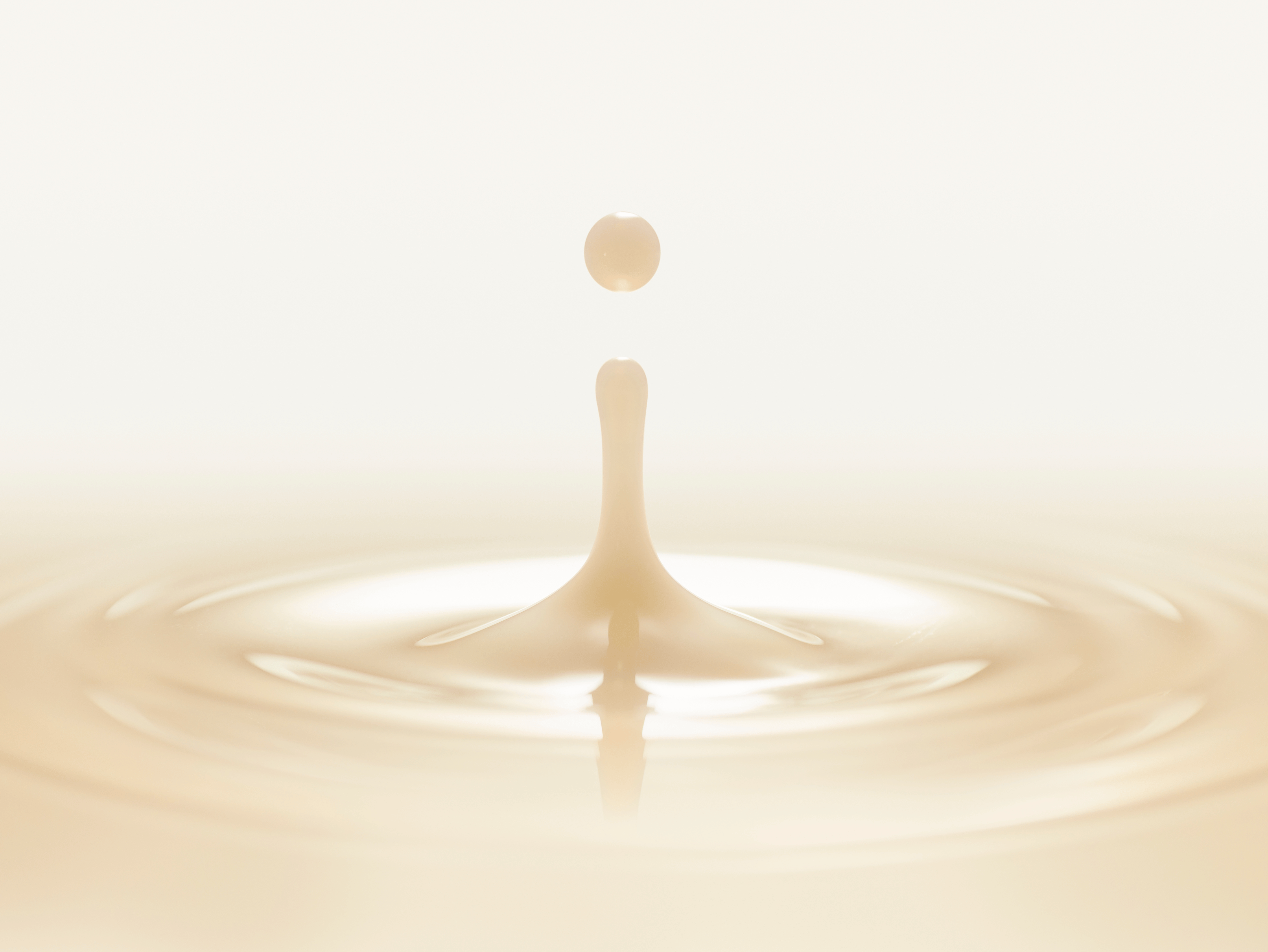 New Year, New Barrier: A Post-Holiday Skin Reset with Balancing Milk