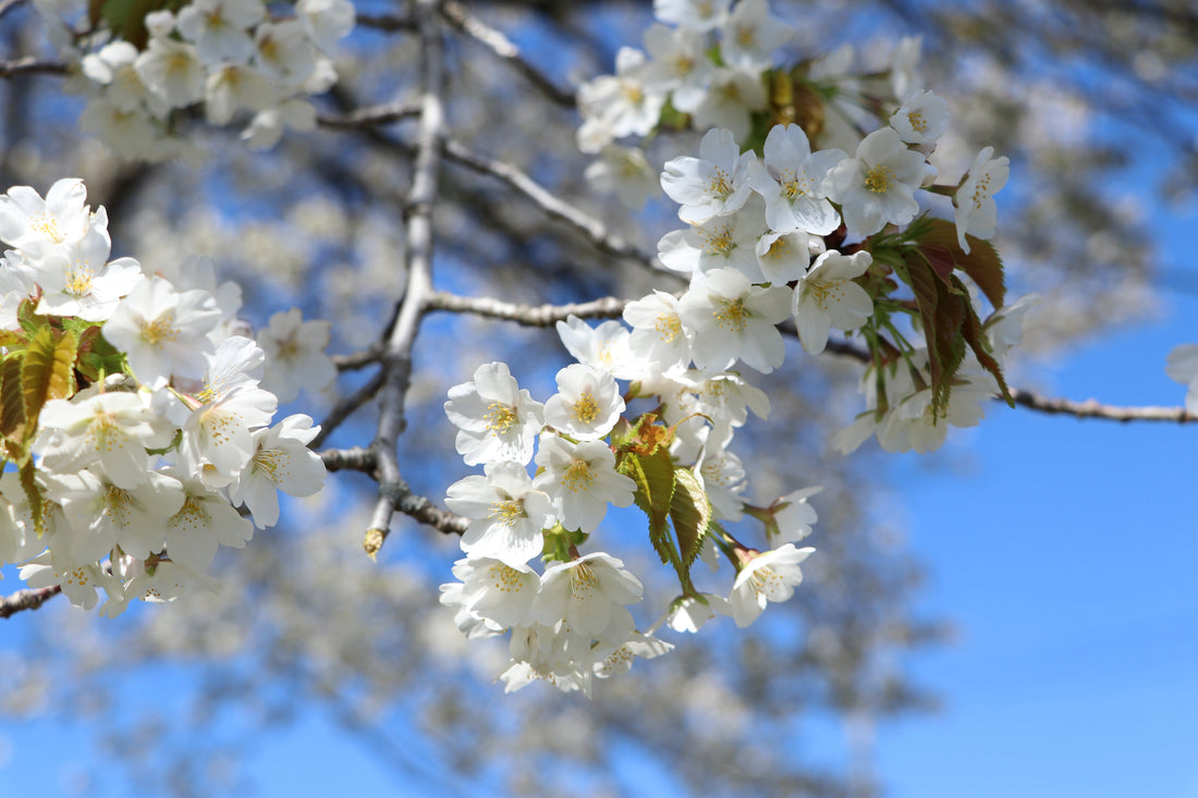 The 5 Skincare Philosophies That Defined 2025