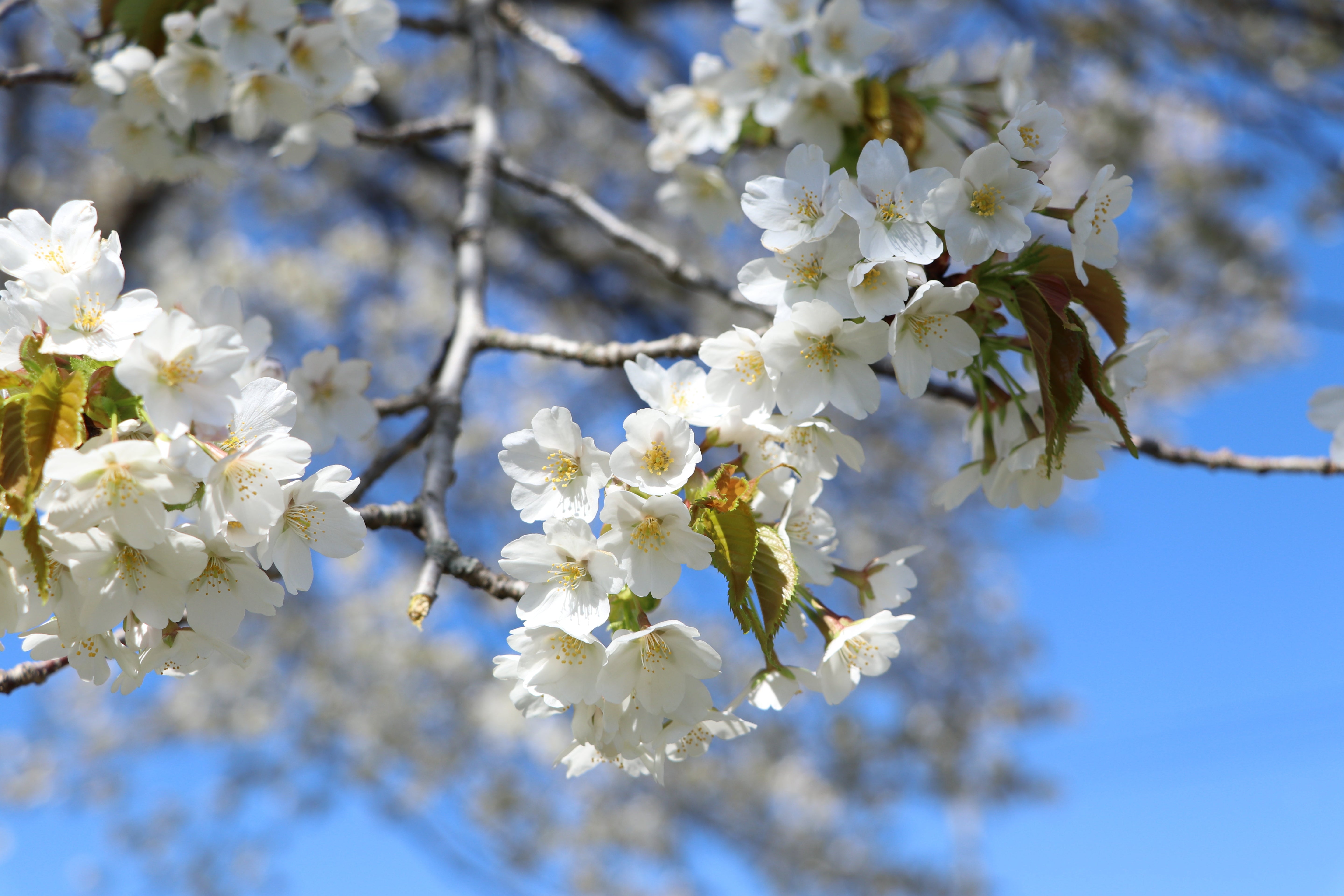 The 5 Skincare Philosophies That Defined 2025