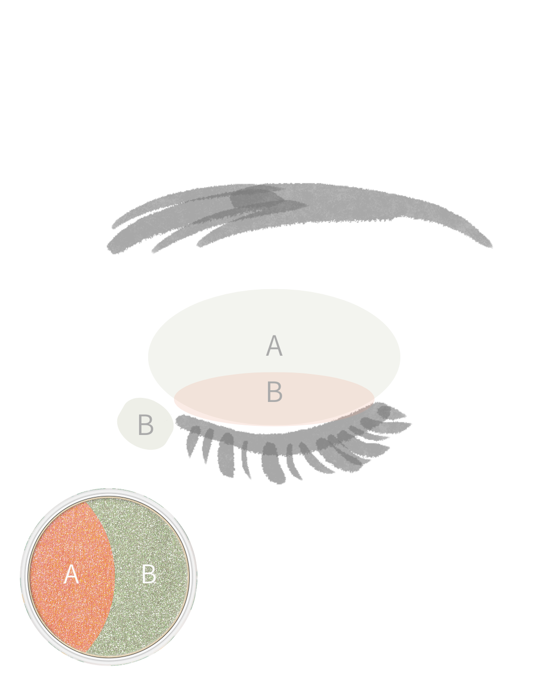 Eye Color Limited E