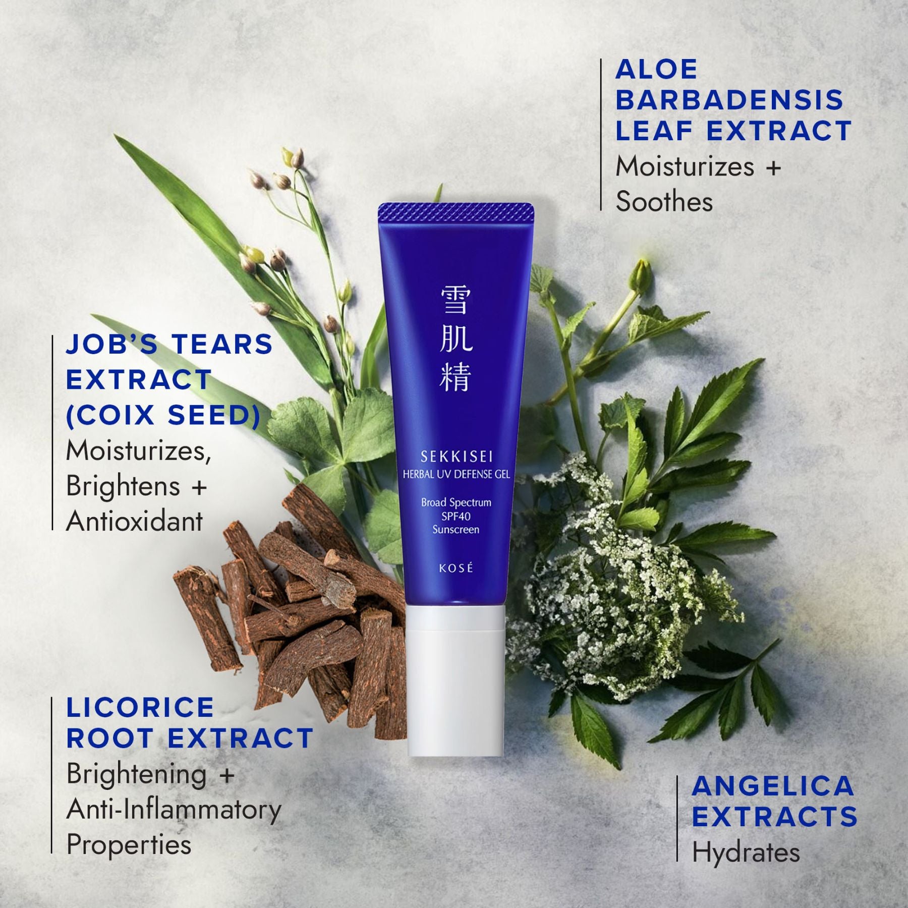 Herbal UV Defense Gel Broad Spectrum SPF 40 Sunscreen